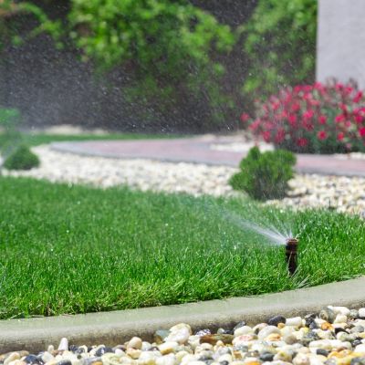 Sprinkler watering grass