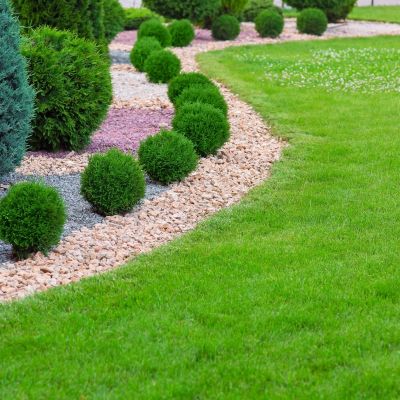 Landscape bed of garden with wave ornamental growth cypress bushes gravel mulch by color rock way on a day spring park with green lawn meadow, nobody.