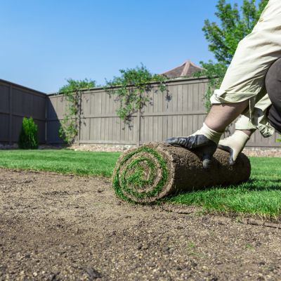 Installing new lawn